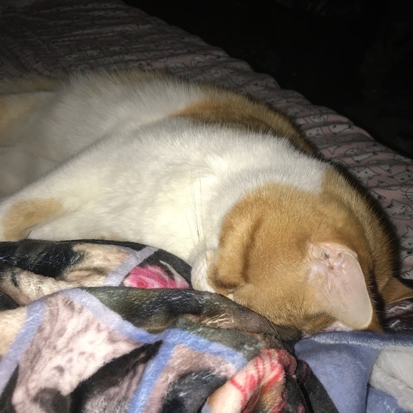 Meet your Posher, Kristen - Picture 1 of 1